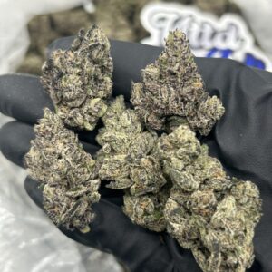 Buy Scented Marker strain online — authentic Seed Junky Genetics hybrid with purple buds and frosty trichomes