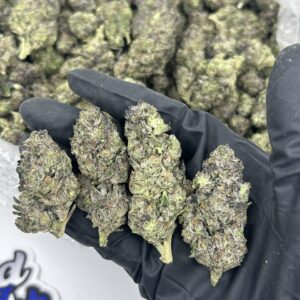 Buy Ferrari Runtz strain online — small dense buds with light green and purple hues from NTTD Mr. Aob